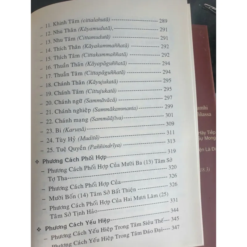 Thắng Pháp Tập Yếu Luận và Lời Giải Thích - Tập 1 720613