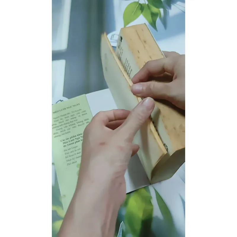 Hàng Đã Nhận, Miễn Trả Lại! - Mèo Lười Ngủ Ngày 744727