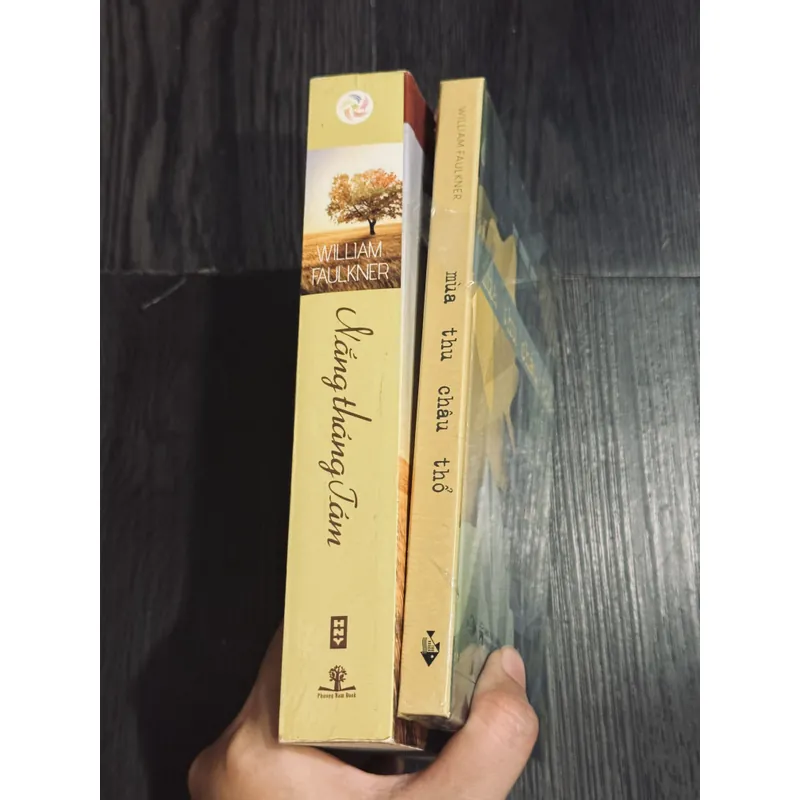 Combo William Faulker 596360