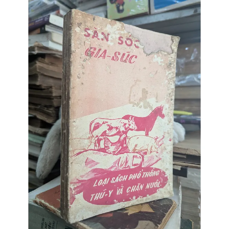 Săn sóc gia súc - Hồ Văn Giá 465304