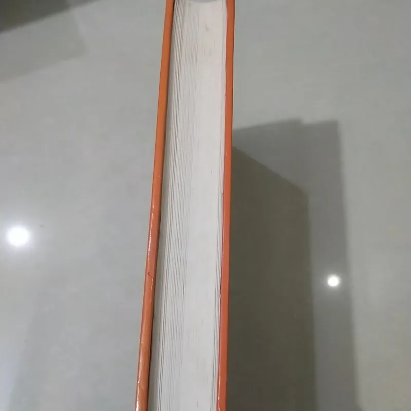 Sách Cũ - Không Gia Đình (Bìa Cứng) 1005846