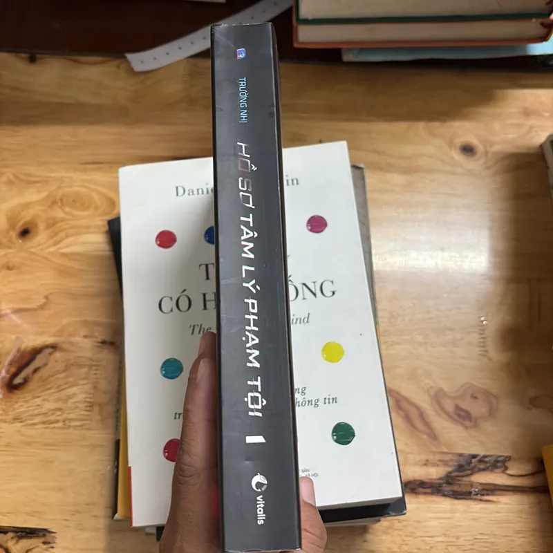 II Sách Tâm Lý Tội Phạm: Hồ Sơ Tâm Lý Phạm Tội (Tập 1) - Trường Nhị - 2023 698412