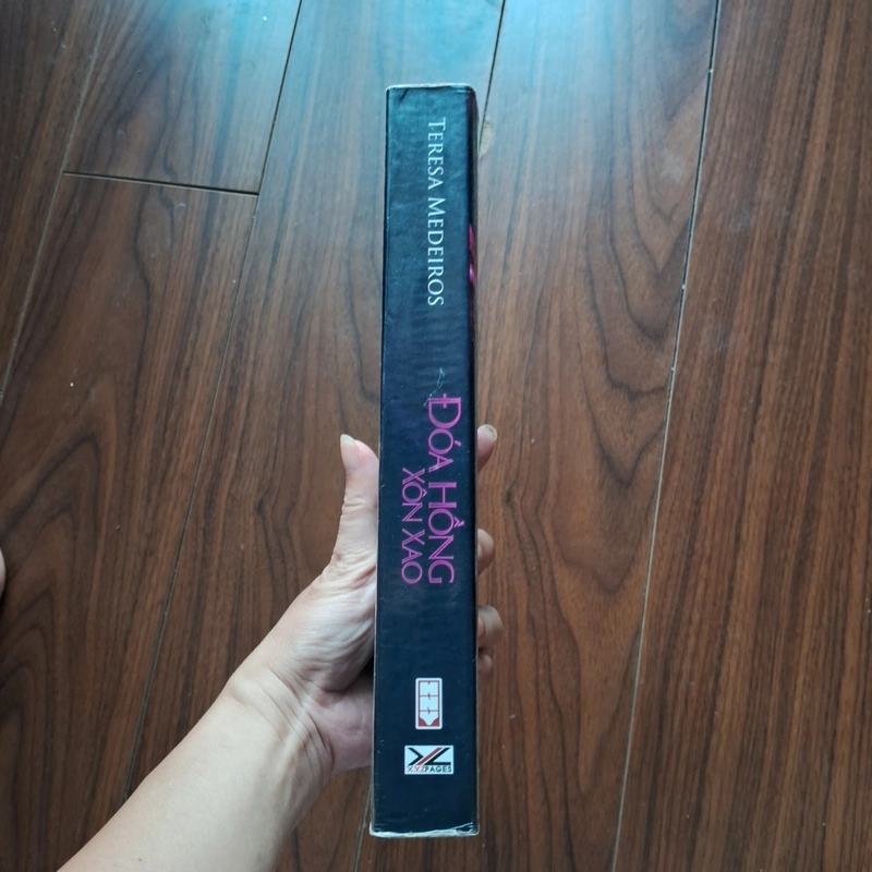 Đóa hồng xôn xao 504975