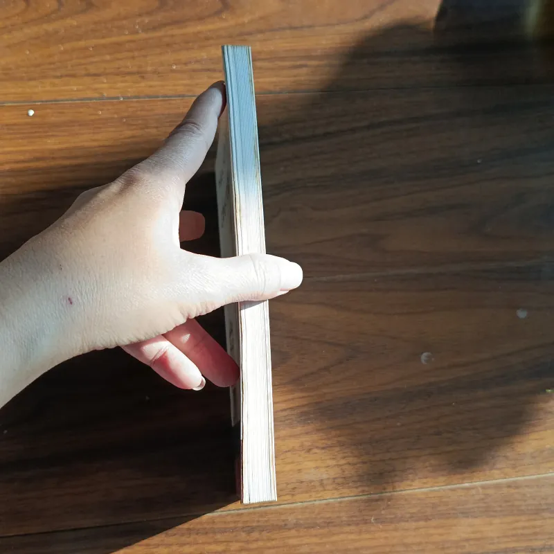 Cánh trái - phan hồn nhiên 760354