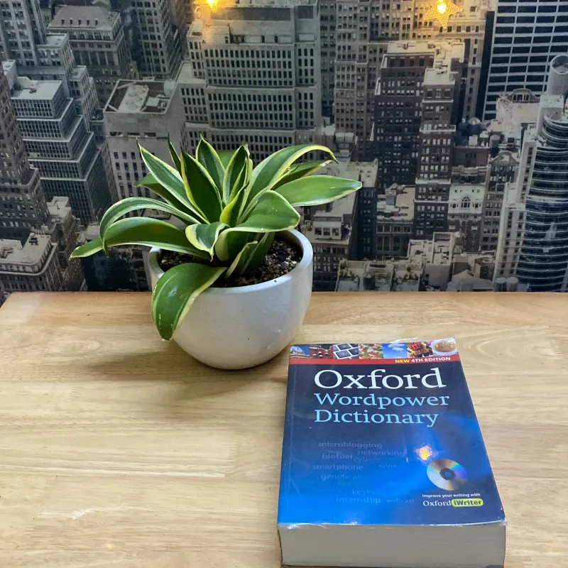Oxford Wordpower Dictionary New 4th Edition - Từ điển Oxford kèm đĩa CD-ROM [Có bảo đảm] 972240