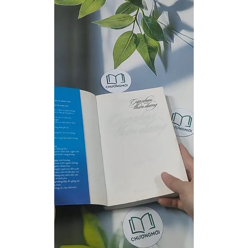 Gặp nhau nơi thiên đường - Tiểu Ni Tử 694914