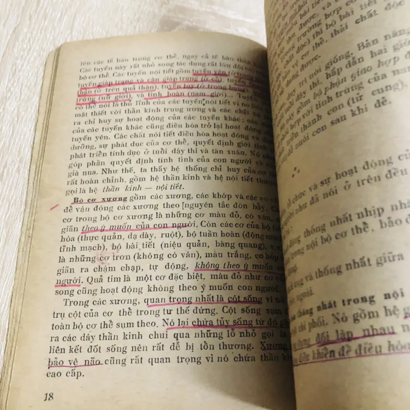 PHƯƠNG PHÁP DƯỠNG SINH 1975 1004843