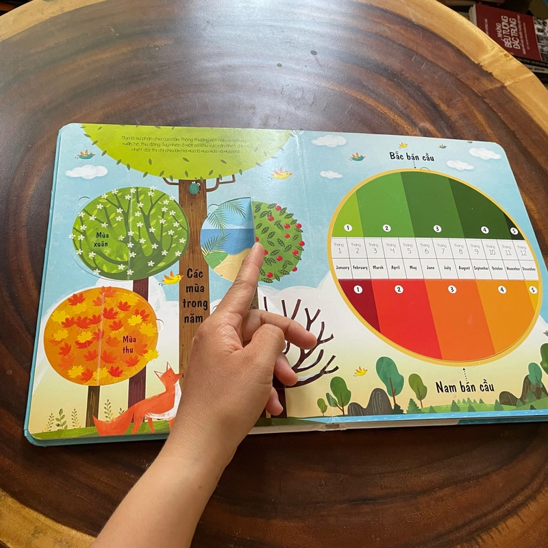 II Tựa sách: Planet Earth _ Trái Đất Của Chúng Ta (Tìm hiểu kiến thức qua những miếng lật) 460840