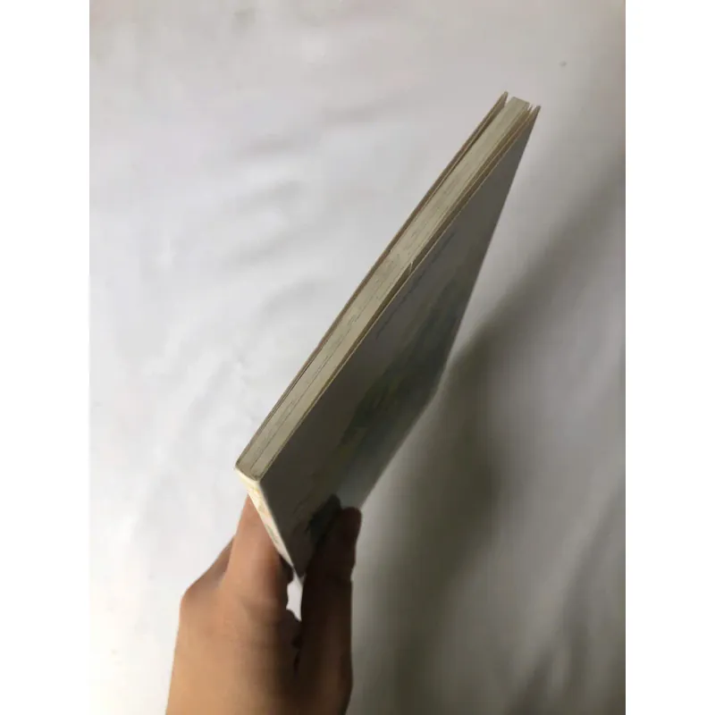 Bước Về Phía Mặt Trời - Nguyễn Luân 734581