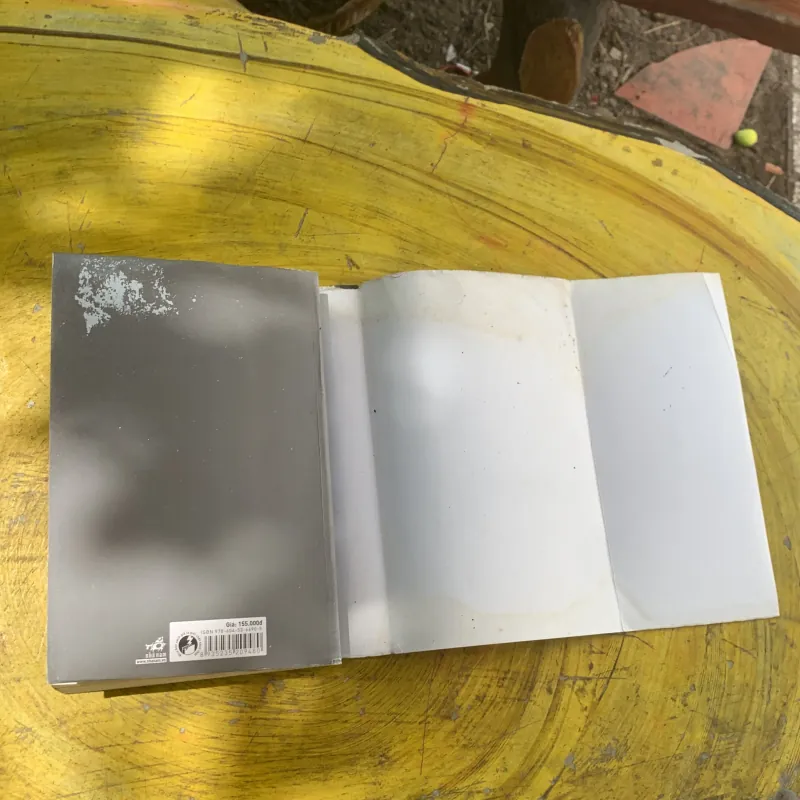 VẬT CHỦ - STEPHENIE METER 972722