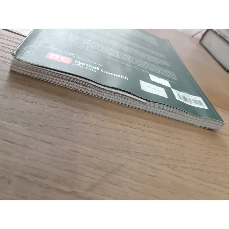 In my time - Mr Miyagi 597323