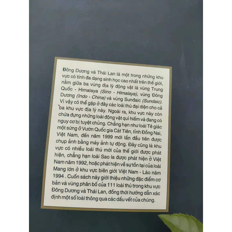 Giới thiệu một số loài thú của Đông Dương và Thái Lan 975216