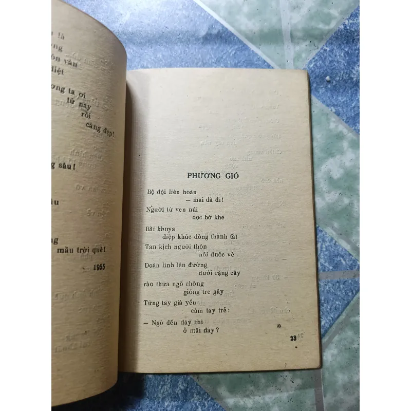 Mầu tím hoa sim thơ - Hữu Loan 975099