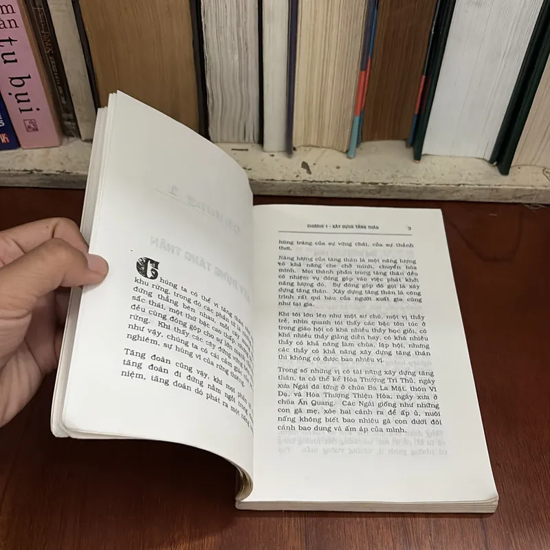 II Sách Phật Giáo: Sống Chung An Lạc _ Nghệ Thuật Xây Dựng Tăng Thân - Nhất Hạnh - Lá Bối 589597