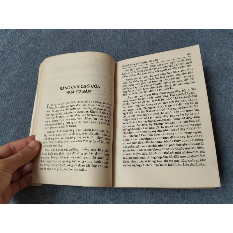 TRUYỆN NGẮN TUYỂN CHỌN TẬP I - NGUYỄN CÔNG HOAN 729307