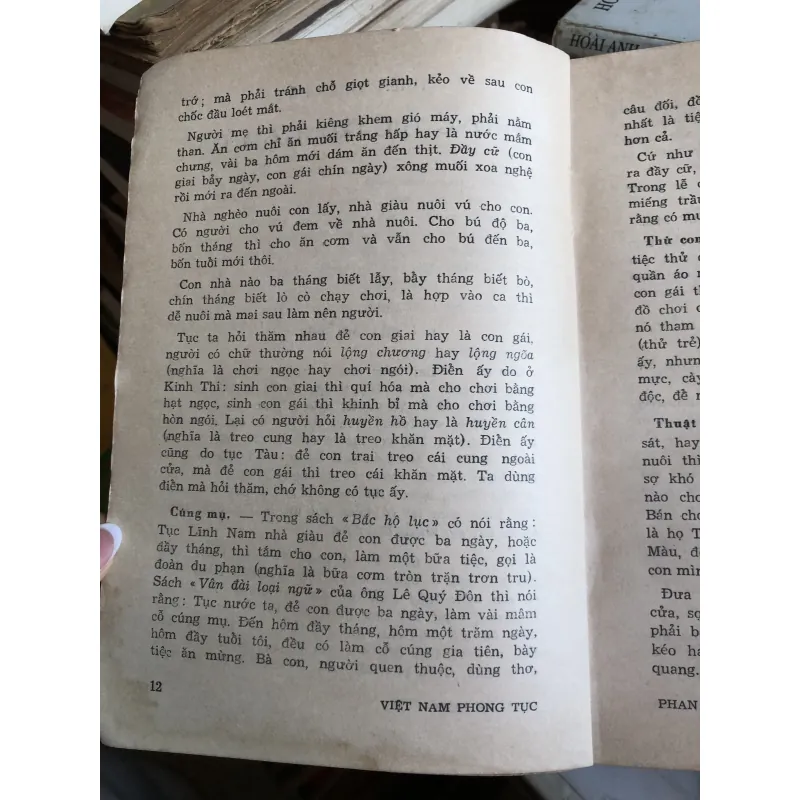 Việt Nam phong tục - Phan Kế Bính 992580