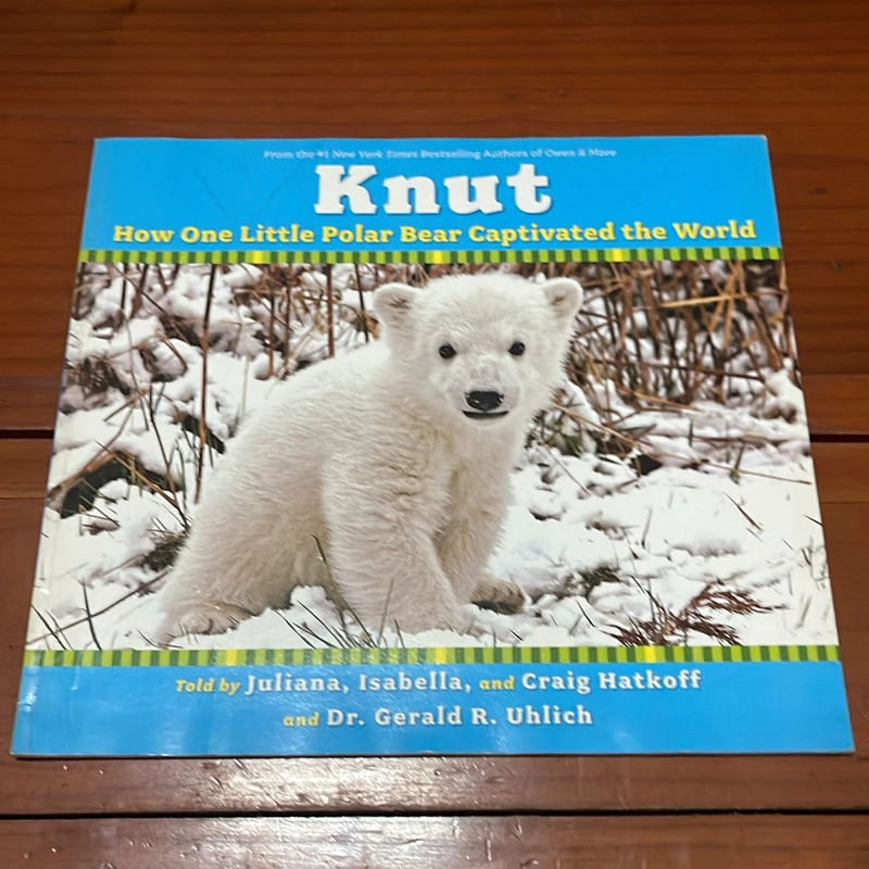 PICTURE BOOK Knut How one little polar bear captivated the world 536433