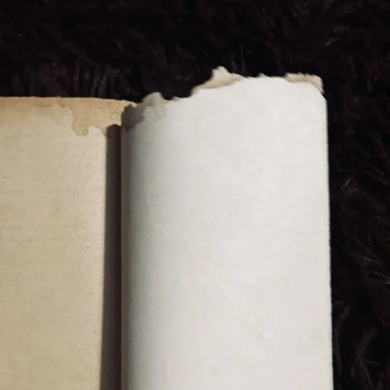 Faust - Goethe 998271