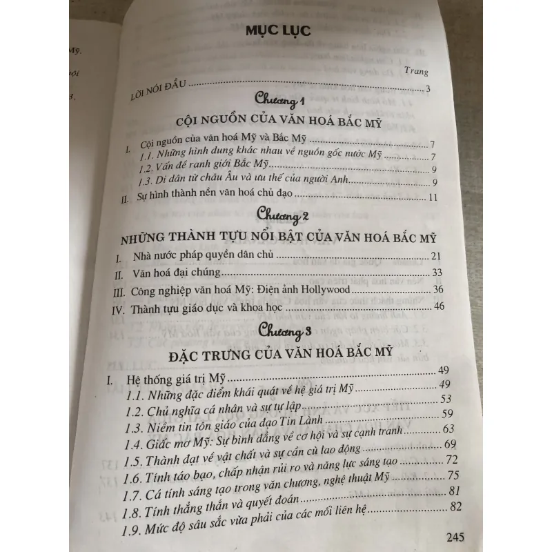 Văn hoá Bắc Mỹ trong toàn cầu hoá  780659