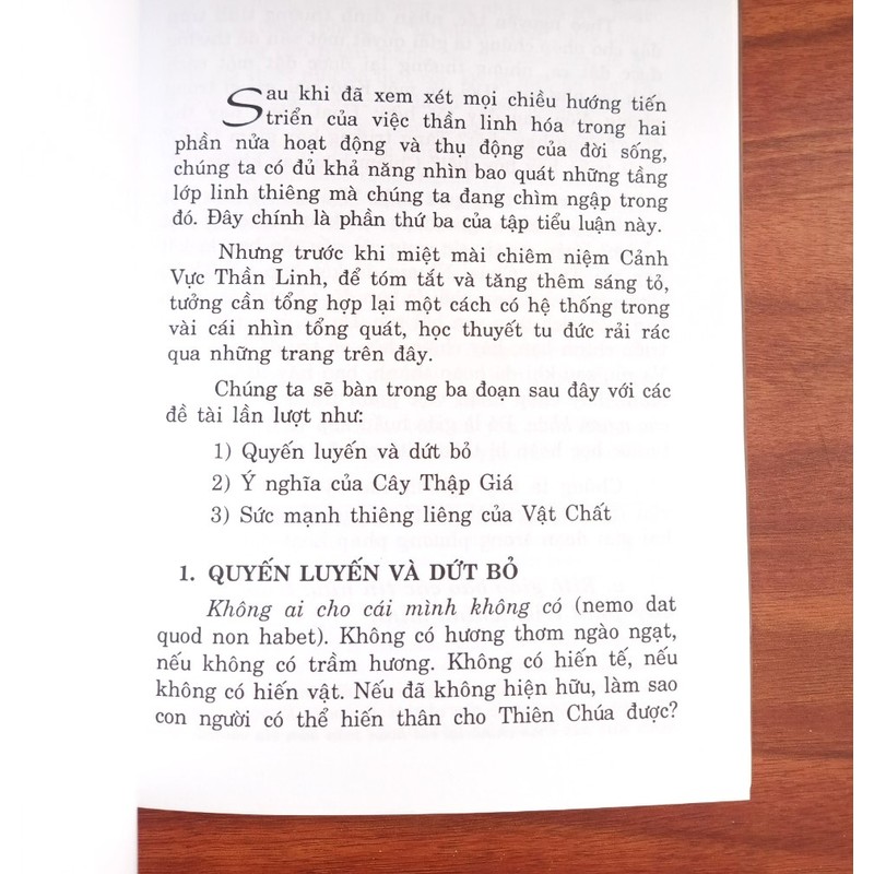 Cảnh Vực Thần Linh - Tiểu Luận Về Đời Sống Nội Tâm / Linh mục Pierre Teilhard De Chardin 186746