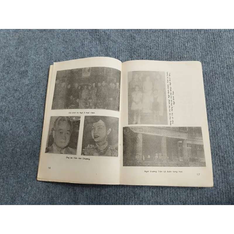 TRẦN LỆ XUÂN: GIẤC MỘNG CHÍNH TRƯỜNG 694847