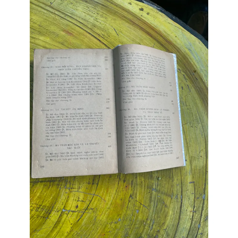 MỞ ĐẦU LÝ THUYẾT MA TRẬN - R. BELLMAN 733122