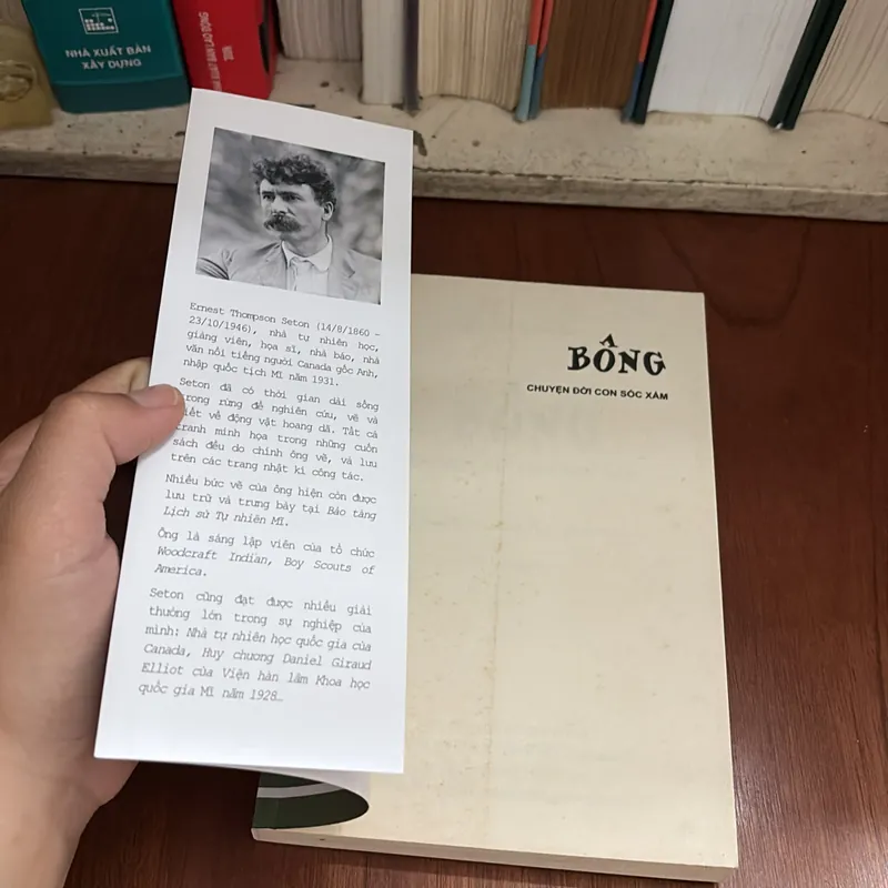 Văn Học Thiếu Nhi: Bông _ Chuyện Đời Con Sóc Xám - Ernest Thompson Seton - ROGER VU (Dịch) 709239