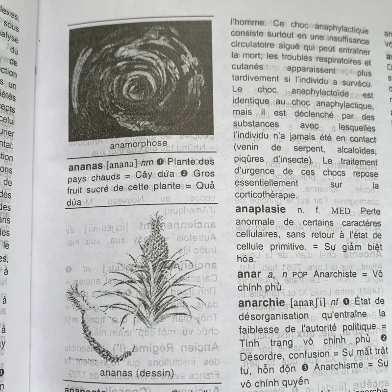 Từ điển Pháp-Pháp-Việt, 350 ngàn mục từ, Lê Phương Thanh  1026818