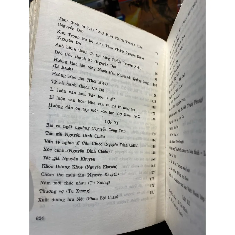 217 đề và bài văn - Nguyễn Đăng Mạnh chủ biên 726751