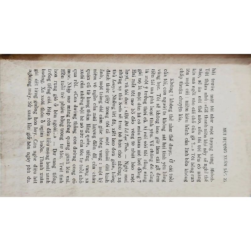 Mùi Hương Xuân Sắc - Gerard De Nerval ( Bản Dịch Bùi Giáng ) 304382
