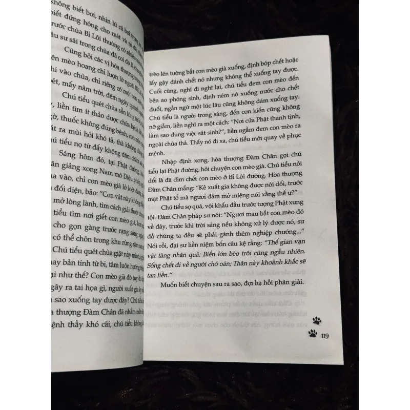 Tặc Miêu (đọc mô tả) 1008251