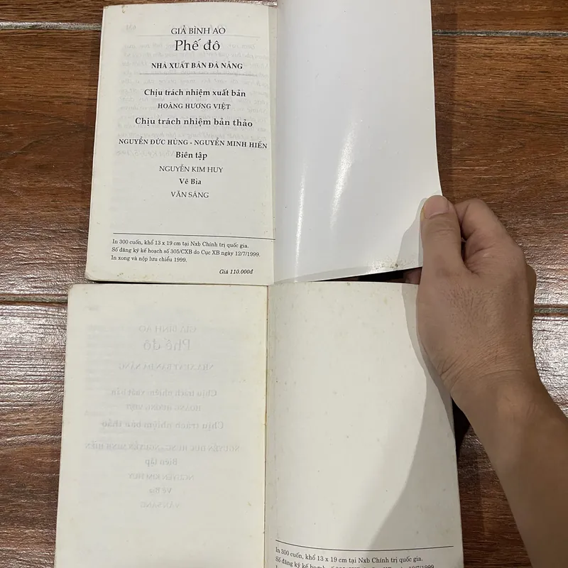 Phế đô bộ 2 tập - Giả Bình Ao (18) 716559