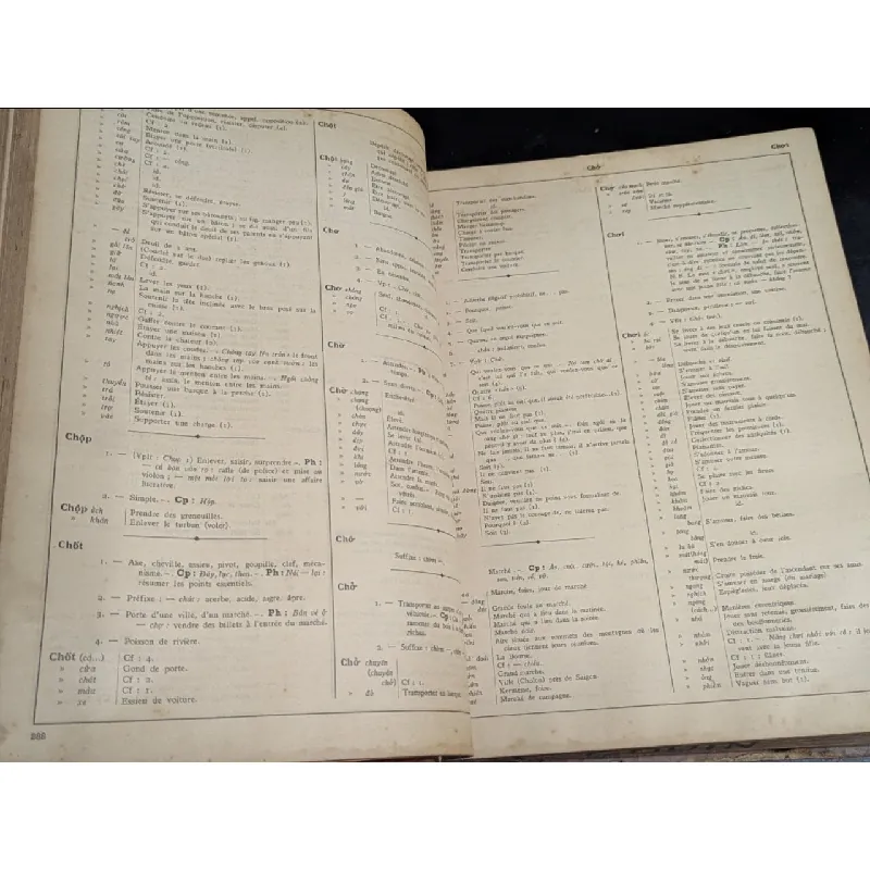 Dictionnaire vietnamien chinoiis francaise -Eugène 719146