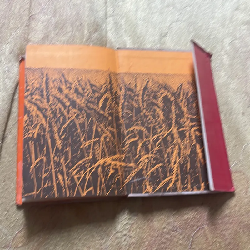 COMBO ĐẤT VỠ HOANG & TIẾP NHẬN VĂN XUÔI NGA THẾ KỈ XIX Ở VIỆT NAM 785753