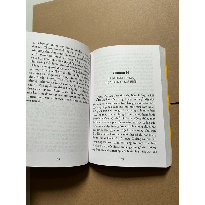 Cuộc phiêu lưu của Tom Sawyer 542490