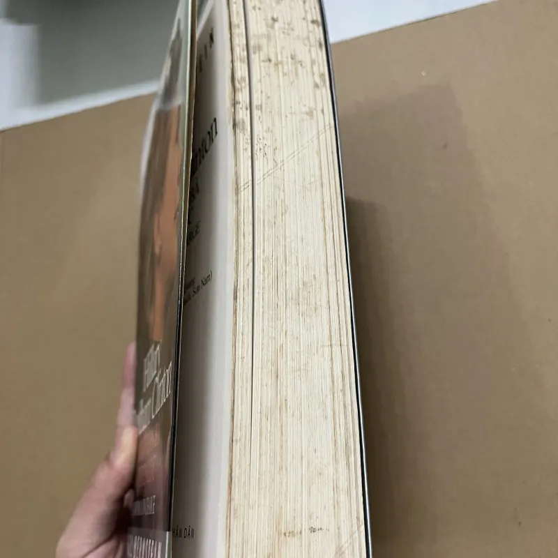 Người đàn bà quyền lực 977253