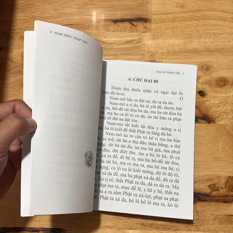 II Sách Phật Giáo: Nghi Thức Thập Chú - Thích Nhật Từ (Biên Soạn) - 2009 694038