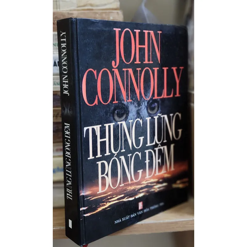 Tiểu thuyết THUNG LŨNG BÓNG ĐÊM, tác giả: John Connolly 704335