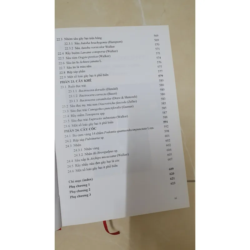 CÔN TRÙNG NHỆN GÂY HẠI CÂY ĂN TRÁI....  799628