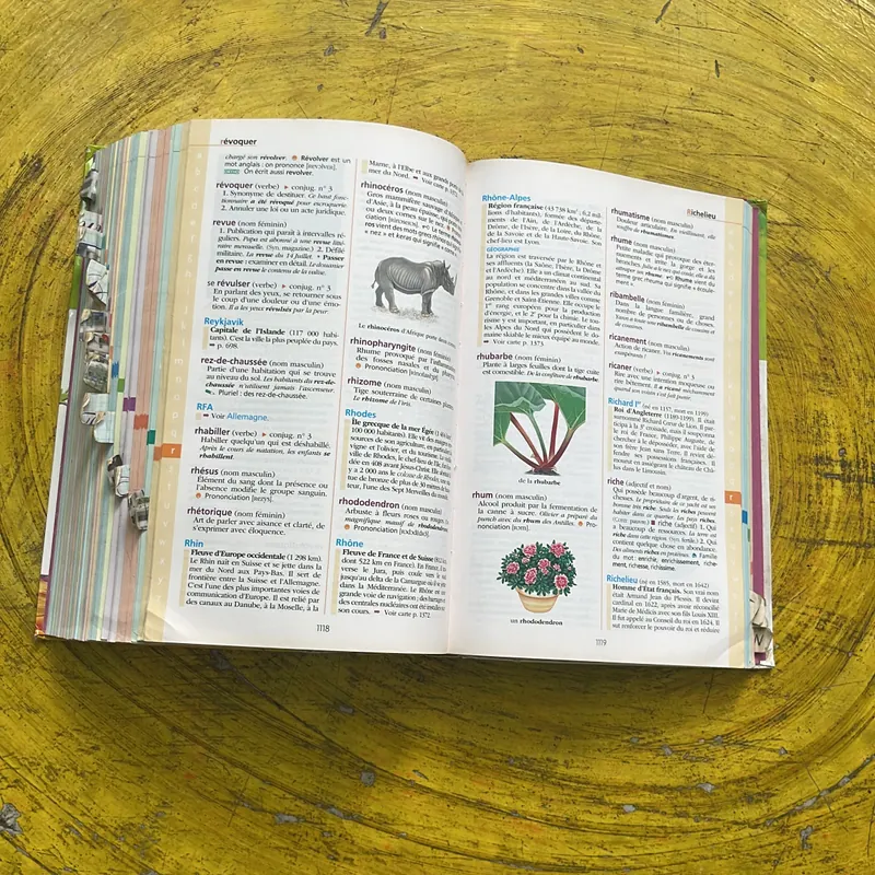 DICTIONNAIRE HACHETTE JUNIOR CE-CM 8-11 ANS 697410