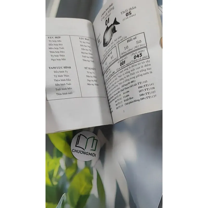 Bách Thiên Diễn Số - Dương Thuận Hào 776136