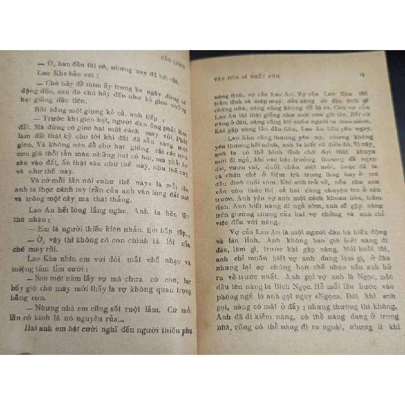 Bão loạn - Pearl Buck 593634
