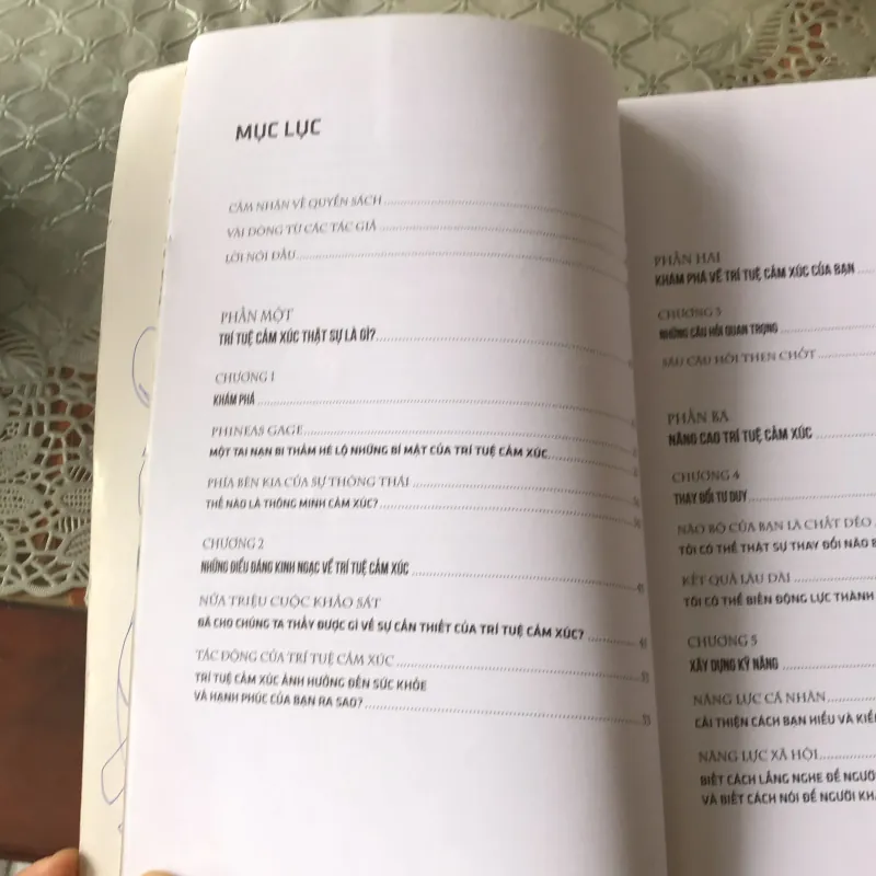 Thông minh cảm xúc để hạnh phúc và thành công  755143