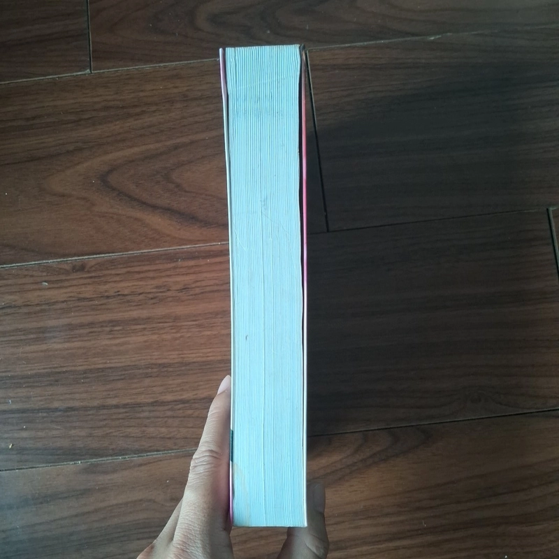 Mưa gió thoáng qua, tôi yêu em 508628