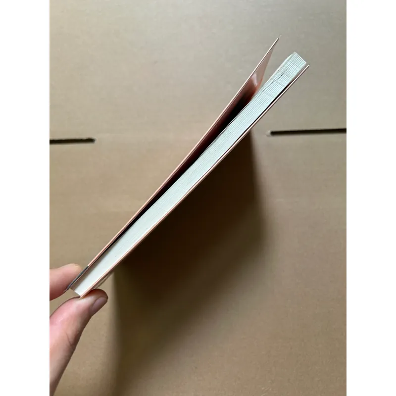 Cứ mộng mơ đời sẽ nên thơ 734213