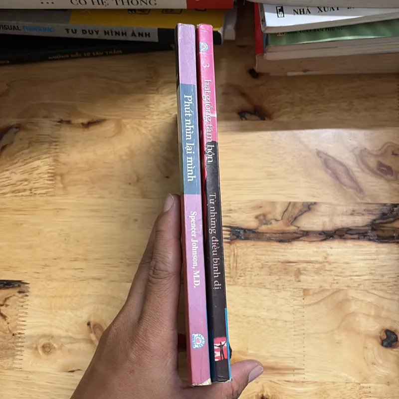 II Combo Sách: Phút Nhìn Lại + Hạt Giống Tâm Hồn _ Từ Những Điều Bình Dị 698018