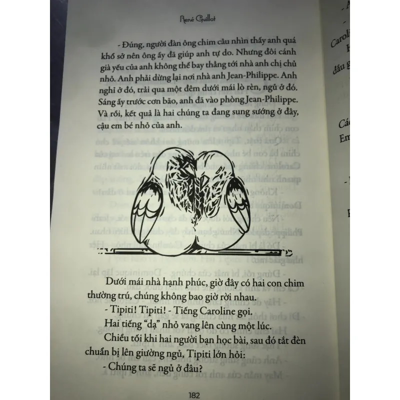 Tipiti chim cổ đỏ 926747