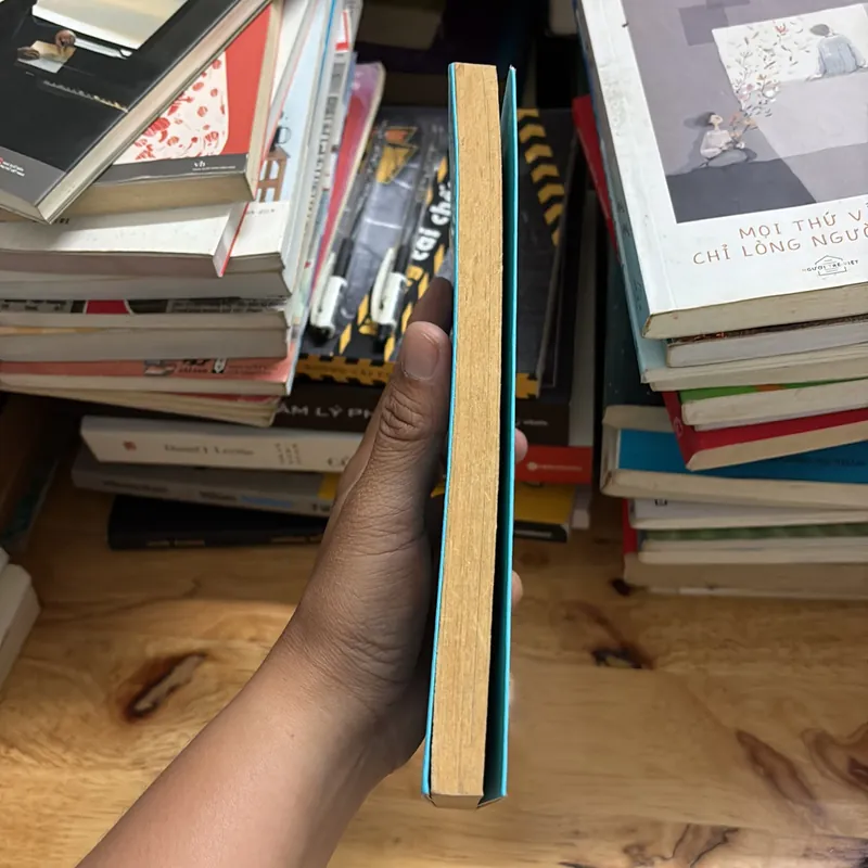 II Tựa sách: Hoa Xương Rồng Nở Trên Giày Cao Gót - Khánh Linh - 2015 695672