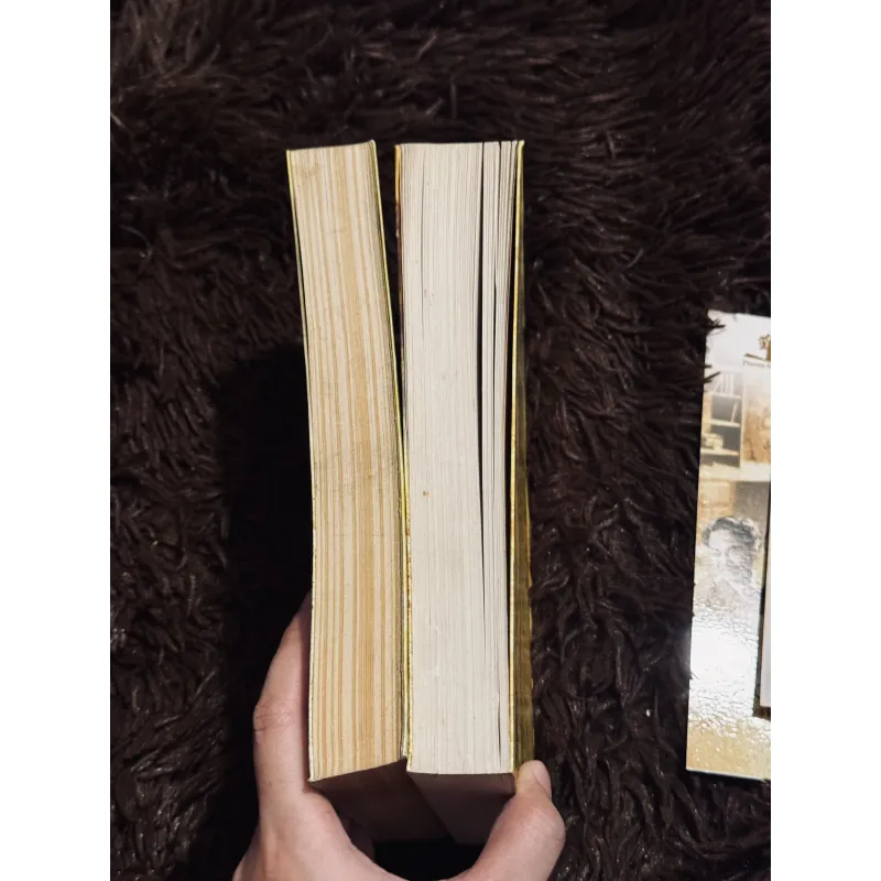 Hồi ký song đôi (bìa mềm) 1010425