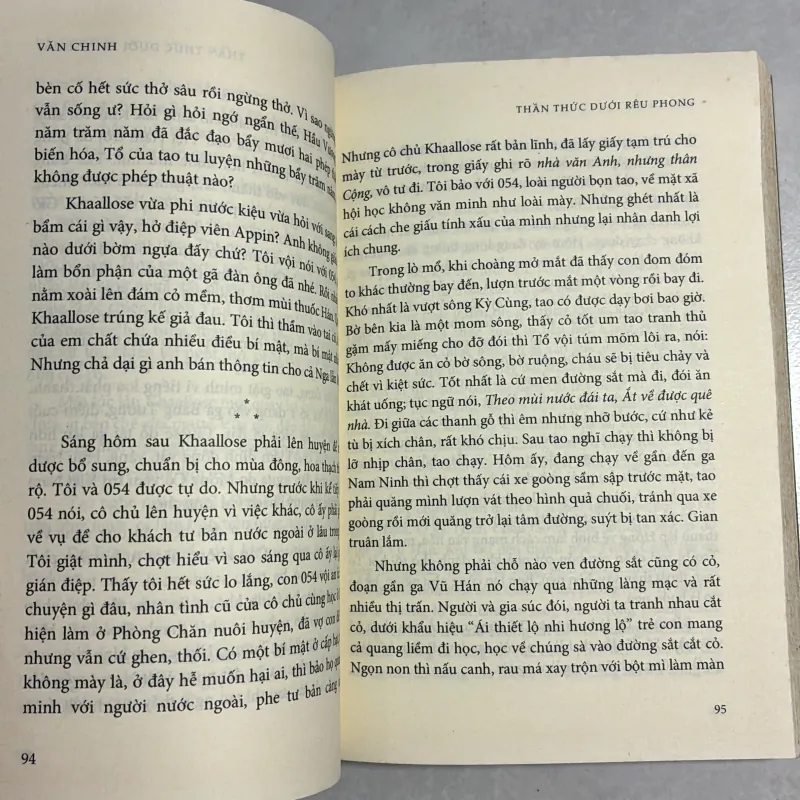 Thần thức dưới rêu phong - Văn Chinh 783234